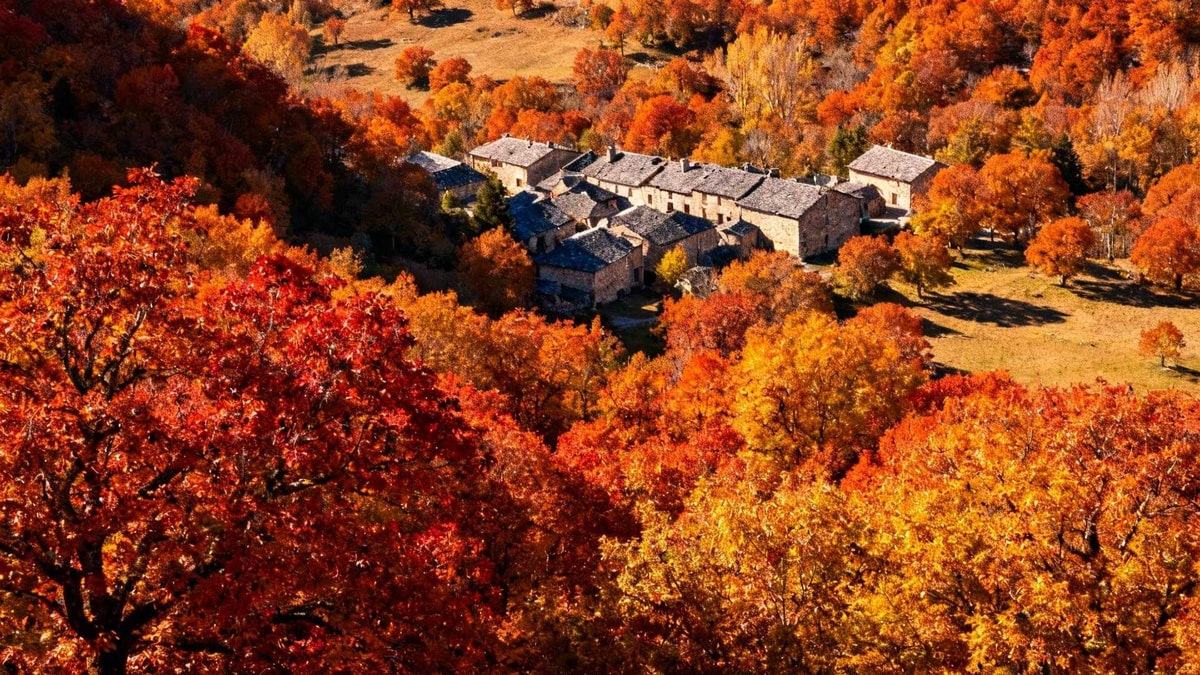 Ce village cévenol de 3 300 âmes explose de rouge et d'or entre le 10 et le 20 octobre