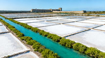 Oubliez Carcassonne : cette cité de 16 684 âmes garde 2 000 hectares de marais salants millénaires