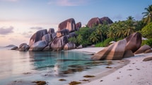 Pourquoi juin reste le seul mois où La Digue appartient encore aux tortues géantes et aux Diguois