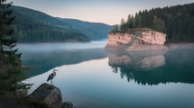 Ce lac vosgien de 315 hectares atteint 21°C en juin, avant les vacanciers d'août