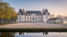 Soixante-dix chiens dînent dans la cour de Cheverny avant que les premiers cars n'arrivent