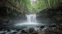 Six semaines en juin, la cascade du Sichon tombe avec une force que les randonneurs d'août n'entendront jamais