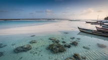 La seule plage de l'océan Indien que la marée efface deux fois par jour, à Rodrigues