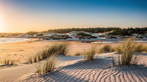 Moins connue que Berck, cette station de la Somme concentre 5 écosystèmes dunaires et 1 550 h de soleil par an