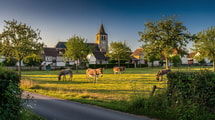 Pourquoi ce village près de Lisieux fait-il revenir les ânes chaque mois de mars ?