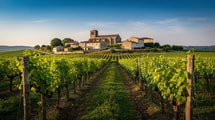 Quand les vignes deviennent terrain de course, ce village girondin surprend les curieux