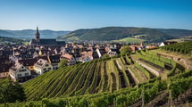 Moins connue que Colmar, cette ville du Haut-Rhin domine un grand cru vertigineux