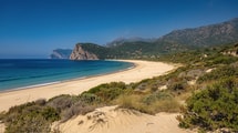 Derrière cette plage de Balagne, une vallée abrite une cinquantaine de milans royaux