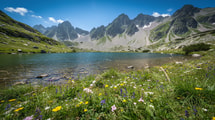 La flore la plus riche de France pousse dans ce parc national des Alpes-Maritimes