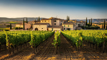 Une cuve de fermentation du XIIIe siècle dort dans ce village de la Drôme