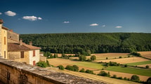 Ce village borde une forêt, troisième d’Europe, où vivent 2 380 espèces de coléoptères