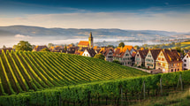 Ce village alsacien cache un grand cru de Sylvaner, rareté du vignoble depuis 1510