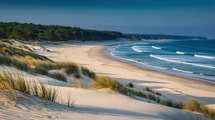 Plus calme que Hossegor, moins urbanisée que Biscarrosse, cette plage s’étire sur 13 km