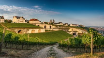 Les maisons de Champagne ont creusé leurs caves dans la colline de Reims