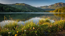 Pourquoi ce lac du Jura accueille-t-il de nombreuses espèces de papillons ?