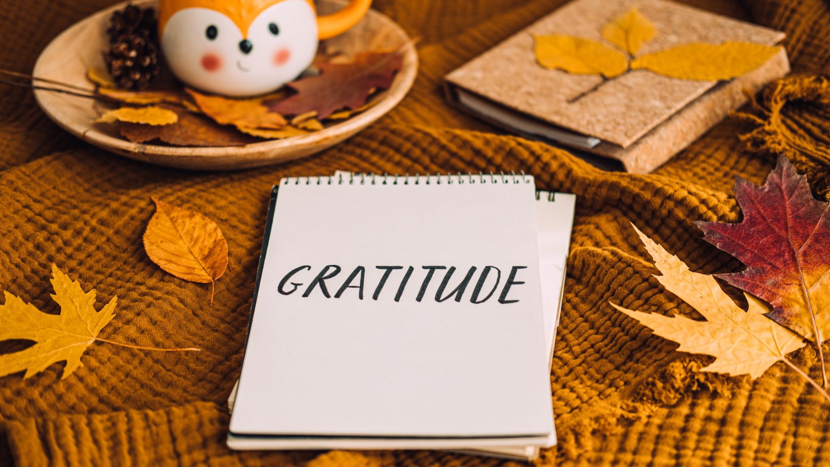 World Gratitude Day