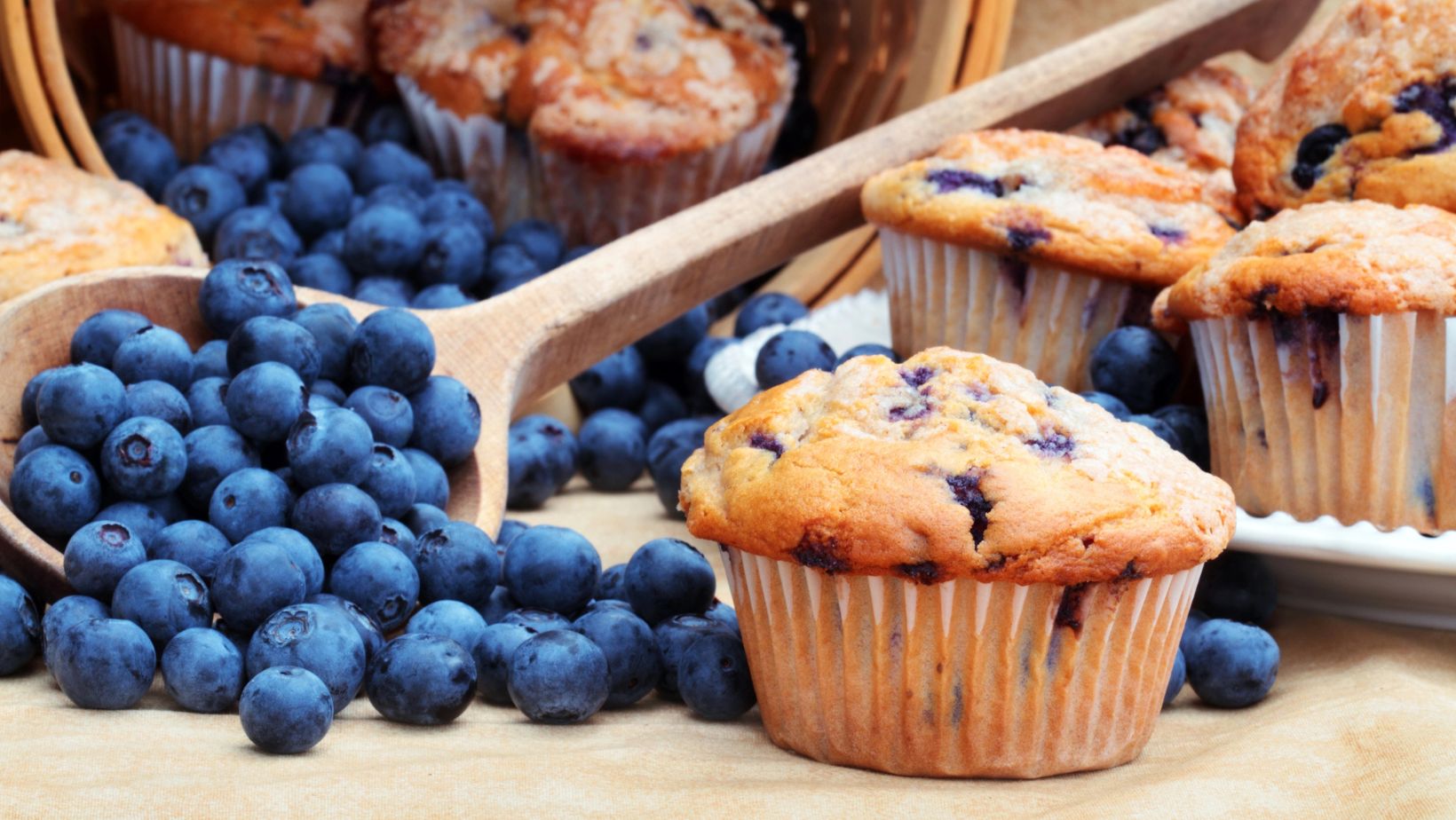 National Blueberry Muffin Day July 11th 2025 World Day