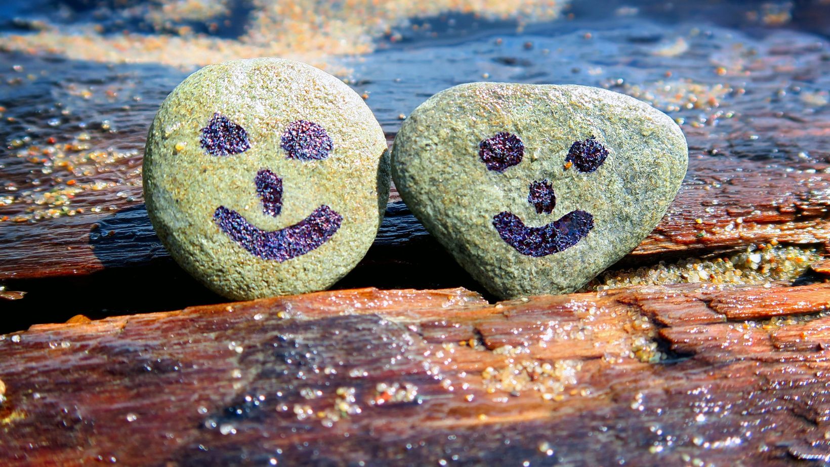 national pet rock day