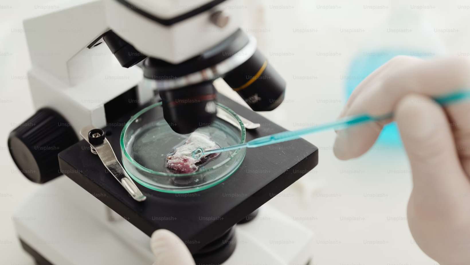 metabolic science