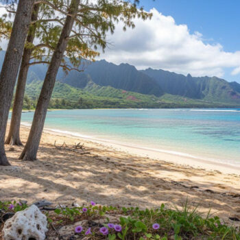 This Kauai beach hides under ironwood trees where shallow reef keeps turquoise water calm