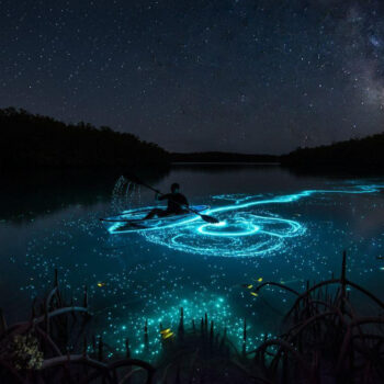 Better than Hawaii where hotels cost $400 and Puerto Rico keeps bio bays glowing for $150