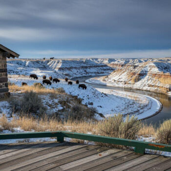 Better than Badlands where 1.1M tourists cost $250 and River Bend keeps bison quiet for $110