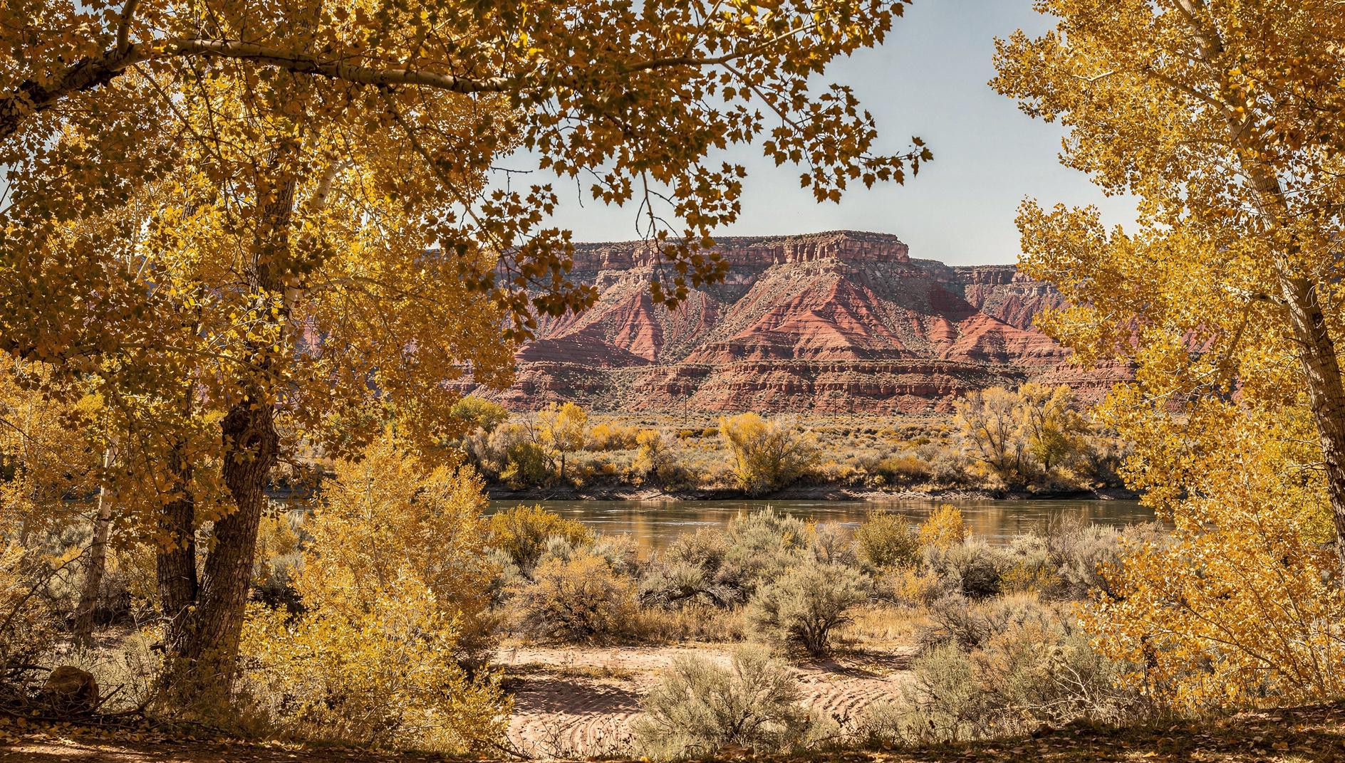 Route 66 in October hits different once you cross into New Mexico and the cottonwoods turn
