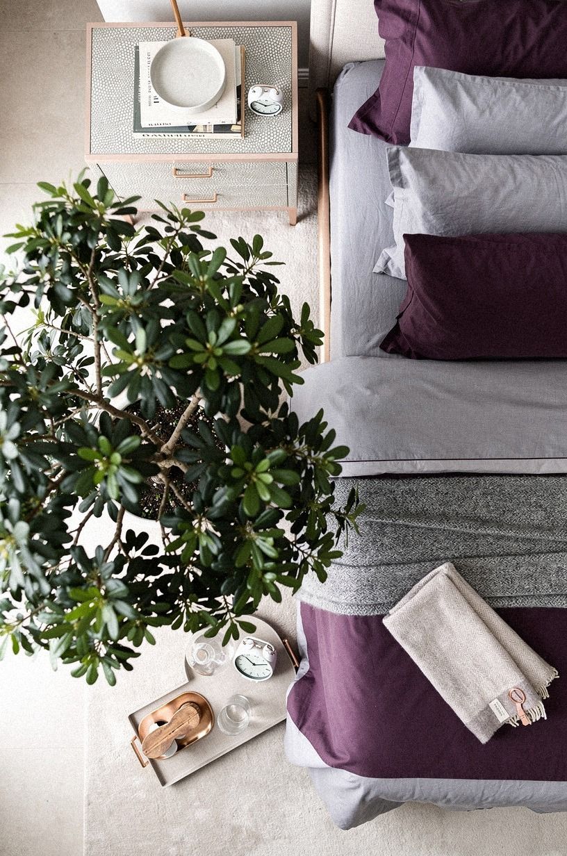 Add one plant that's bigger than you think you need