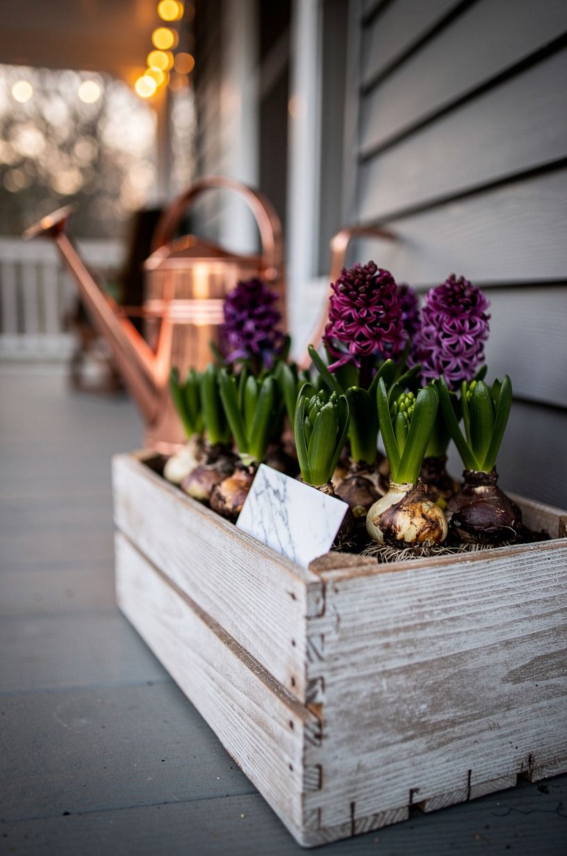 Fill a vintage crate with spring bulbs