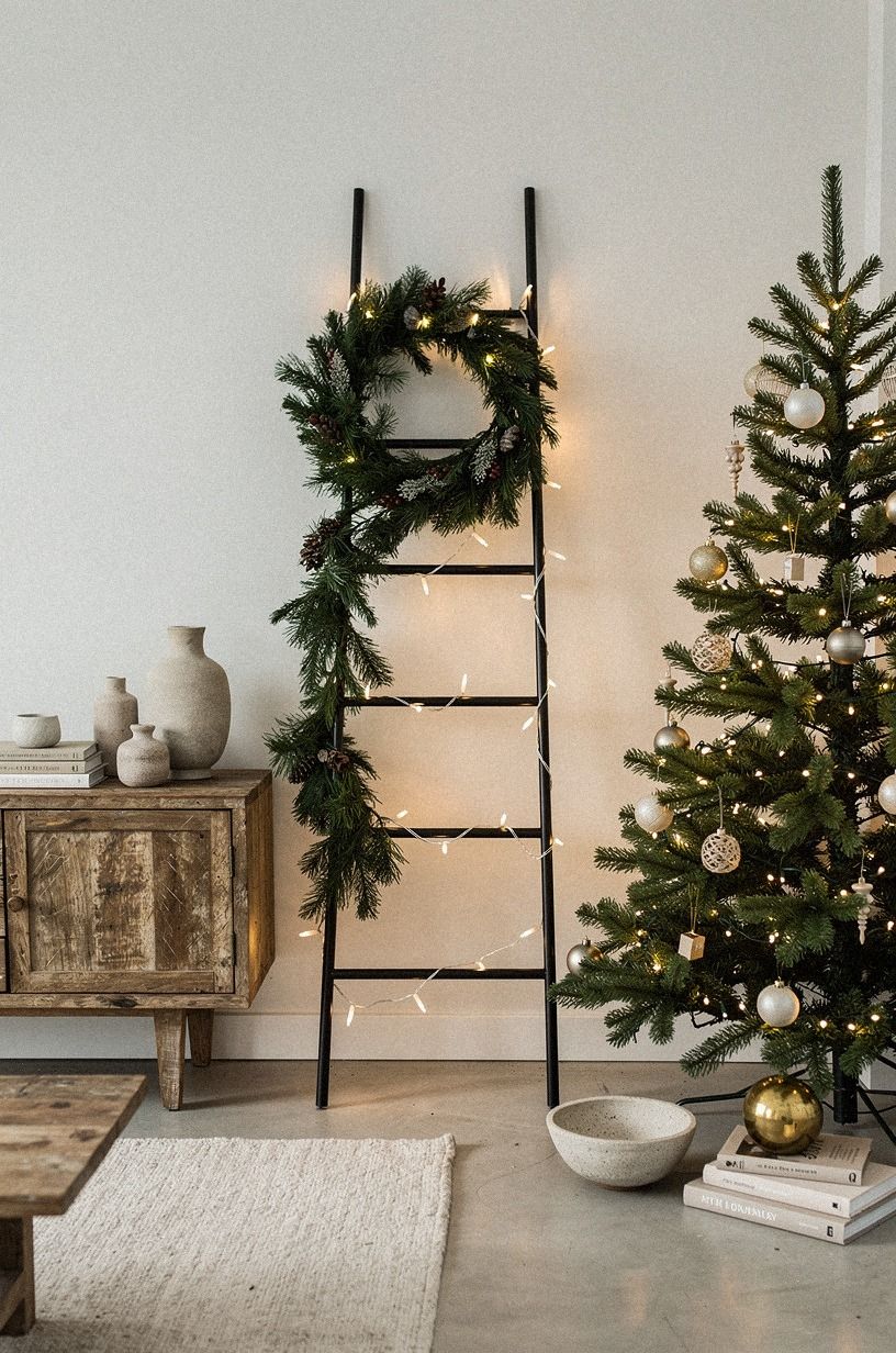 Anchor black and cream with the Quiet-Metal Ladder