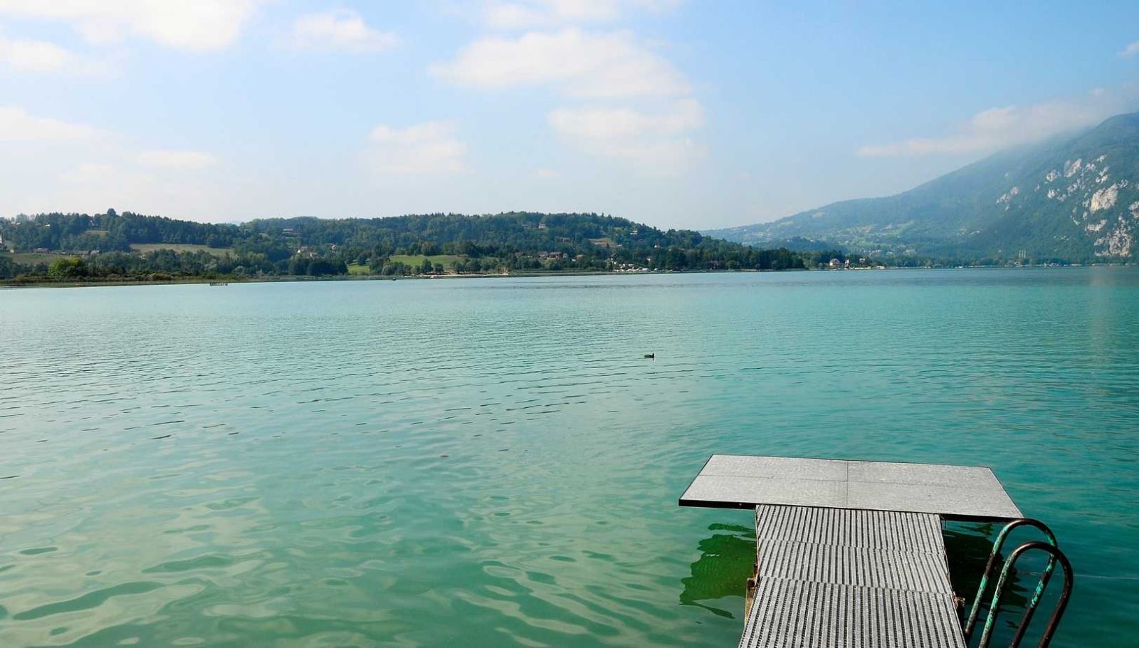 J'ai navigué en barque sur ce lac de Savoie et découvert une biodiversité unique en France