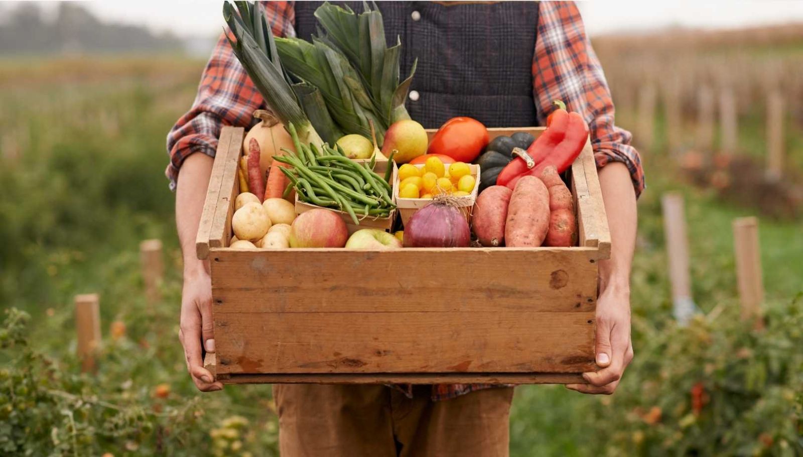 80% d'aliments alcalinisants : la formule qui sauve vos os selon les chercheurs