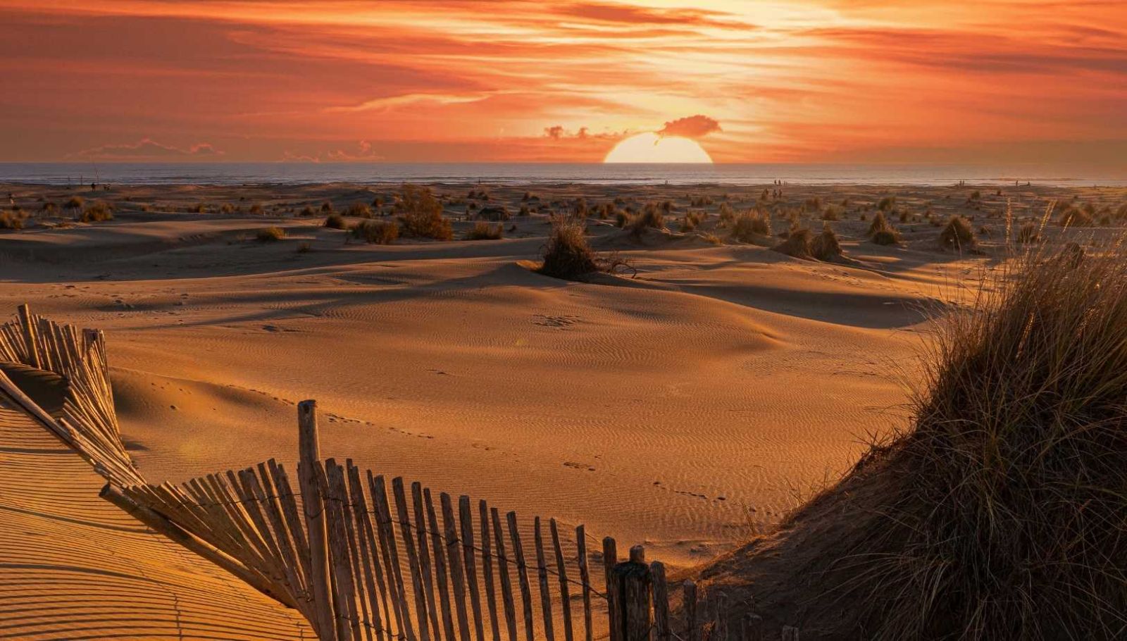 J'ai découvert la plus longue plage sauvage de France : 12 kilomètres de sable vierge dans le Gard