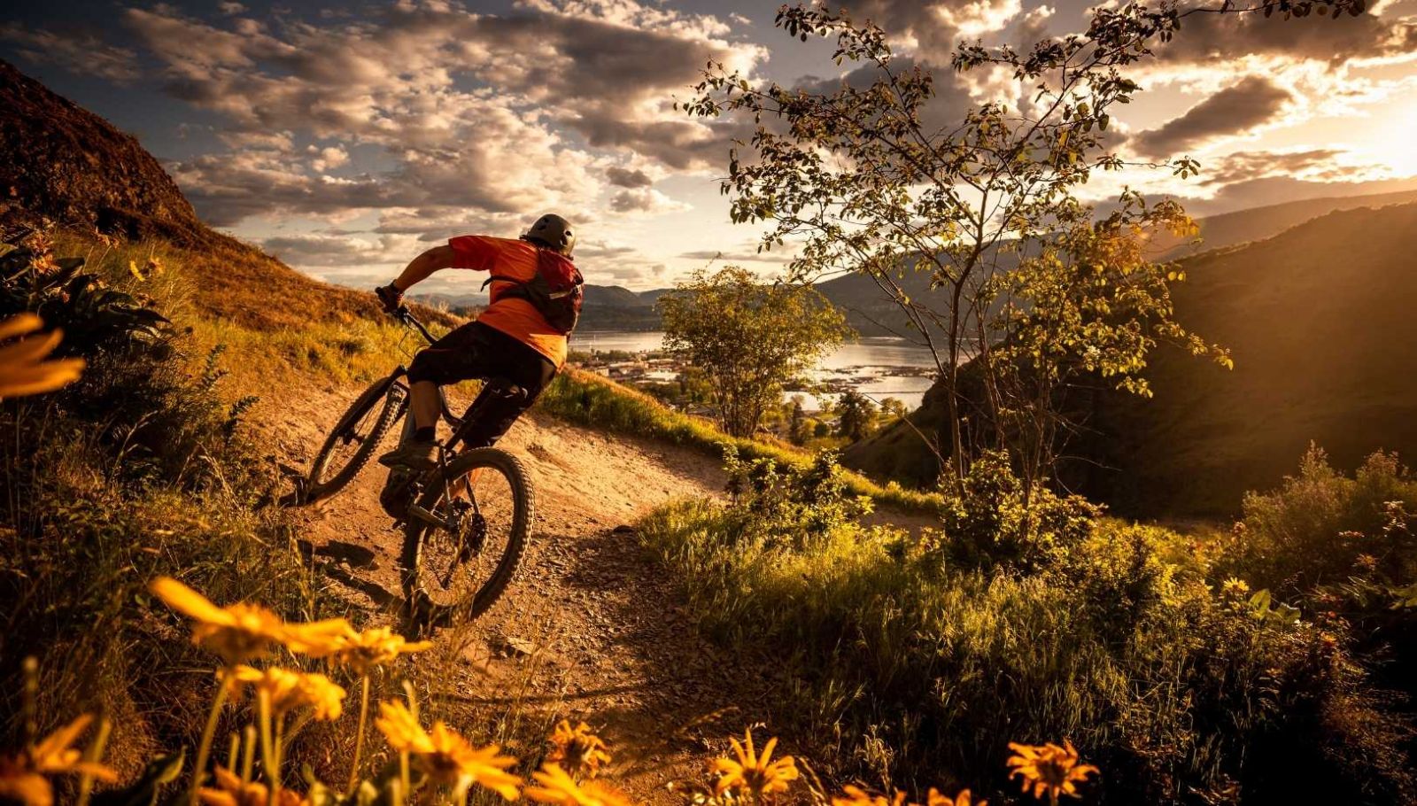 Mon circuit VTT autour de ce lac du Morbihan : 6 heures de sensations entre forêts et berges