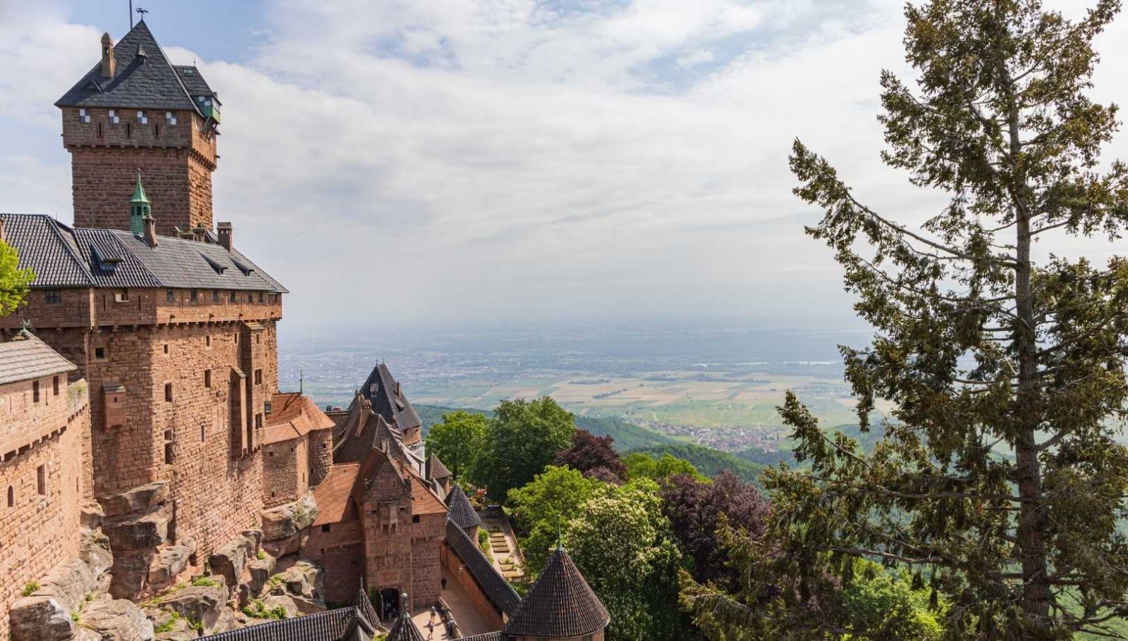Ce château d'Alsace où les Templiers auraient caché leur trésor dans les souterrains