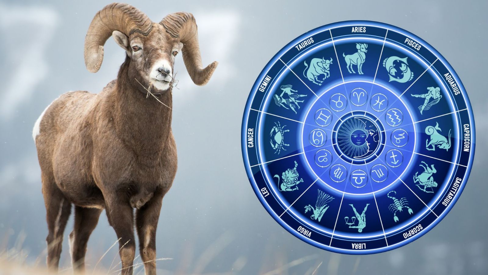 Horoscope du Jour - Bélier - Découvrez Votre Destin