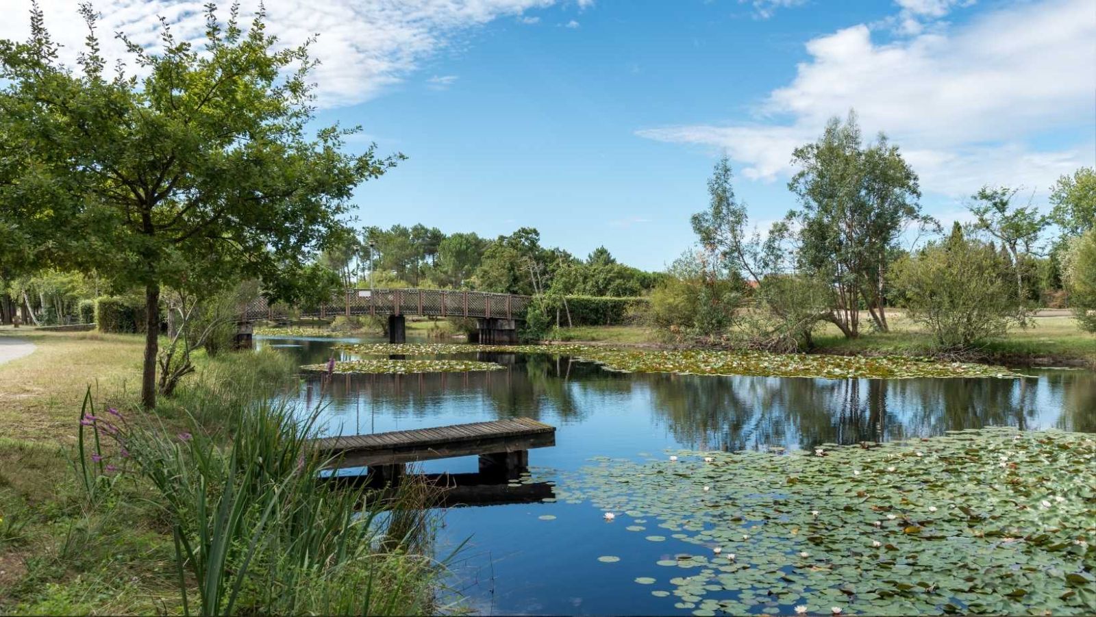 J'ai plongé dans ce lac de Gironde et découvert une forêt engloutie millénaire