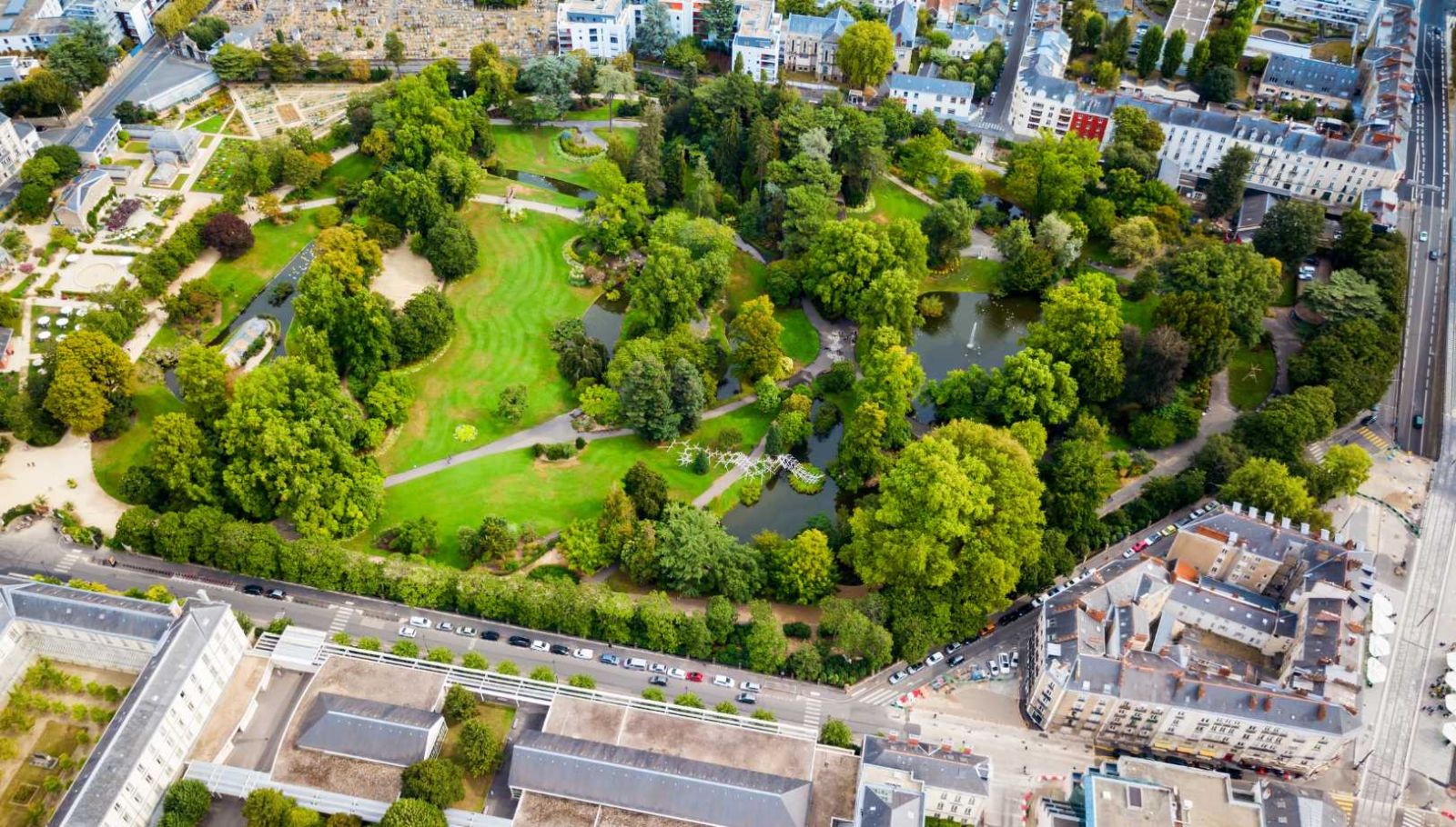 Ce jardin au cœur de Nantes cache un magnolia bicentenaire qui exaucerait les vœux