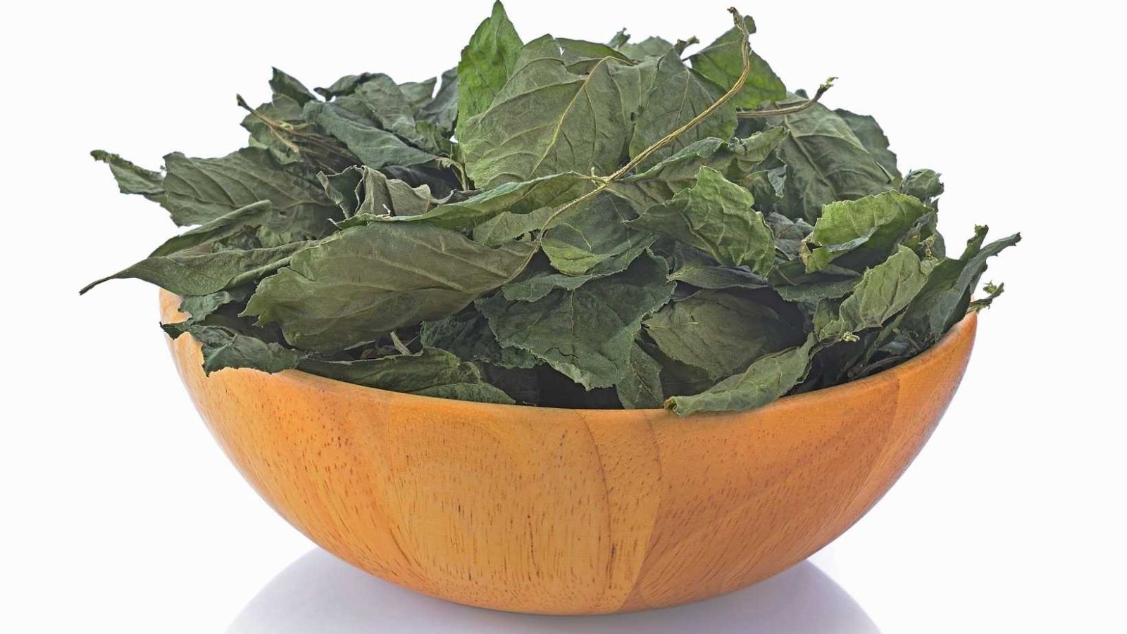 Cette herbe chinoise change la compréhension moderne de la longévité naturelle