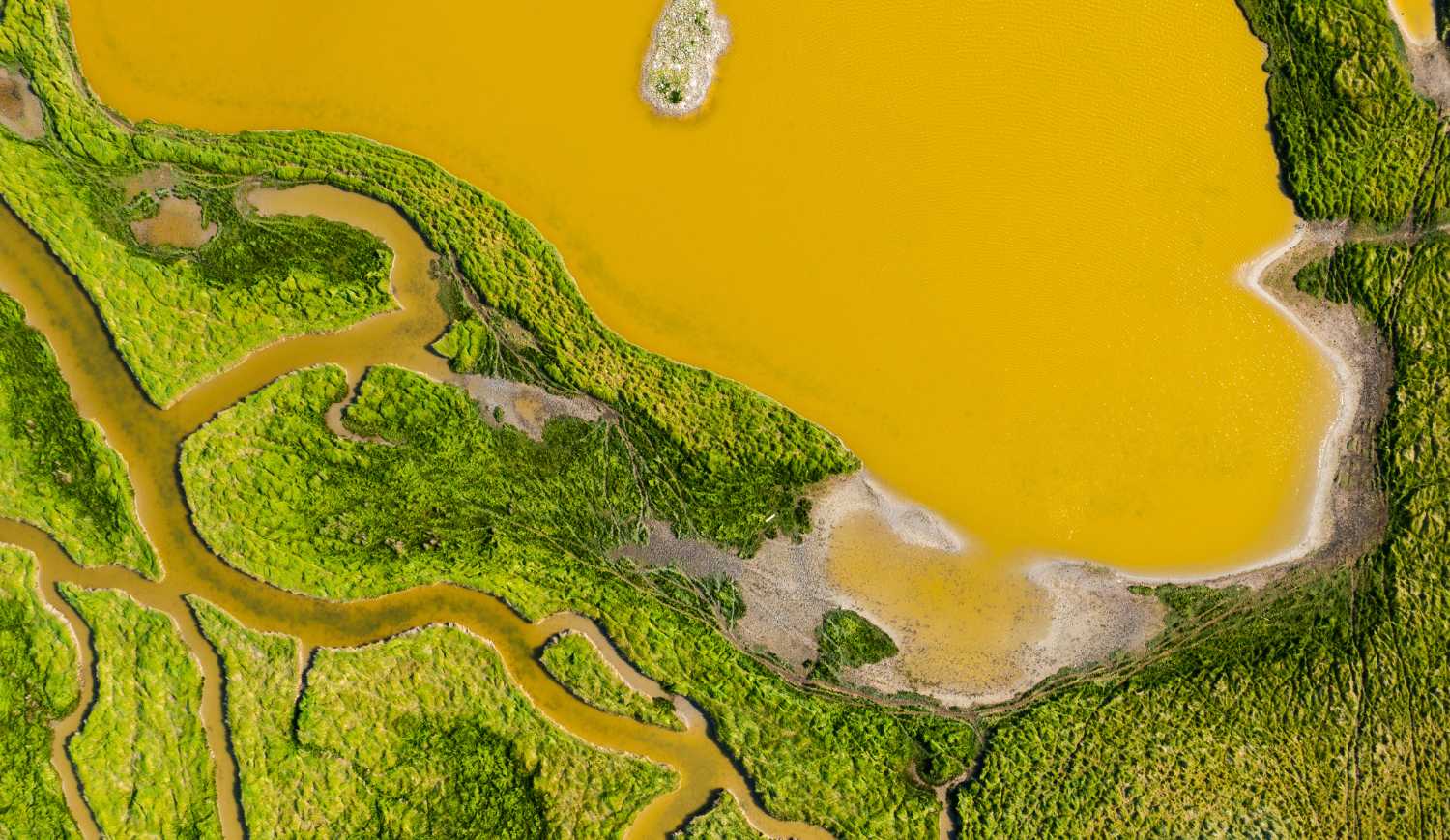 7000 kilomètres de canaux secrets : ce sanctuaire naturel français abrite des espèces qu'on ne trouve nulle part ailleurs