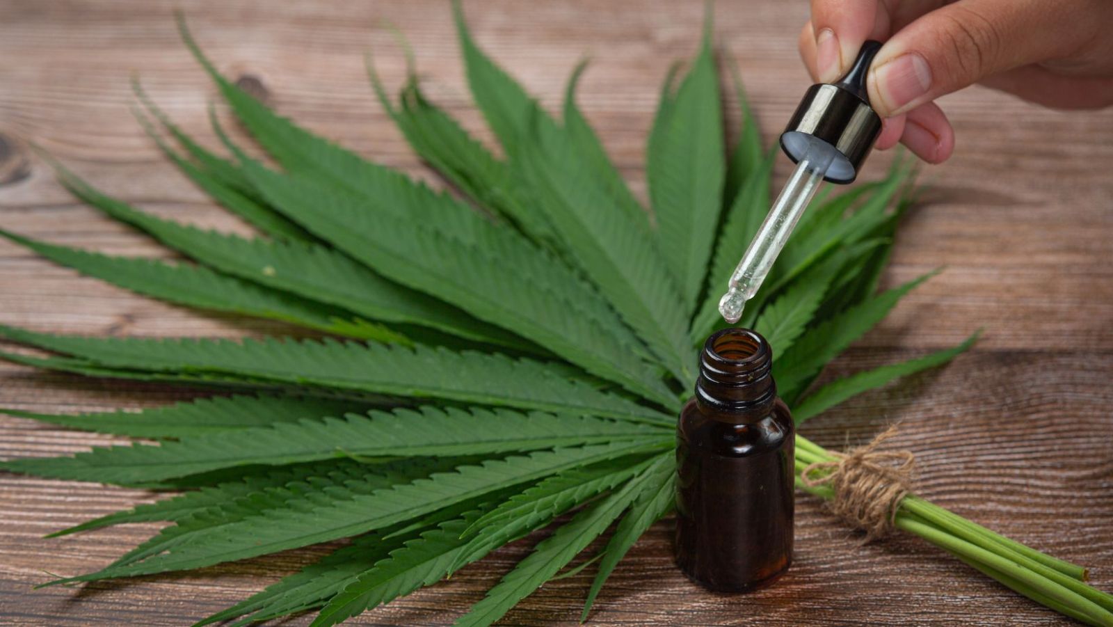 Meilleurs sites CBD en ligne en France : comparatif et avis 2026