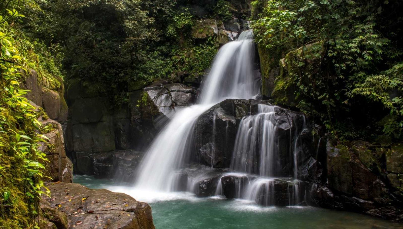 En hiver, cette chute d'eau en Auvergne se transforme en sculptures de glace éphémères
