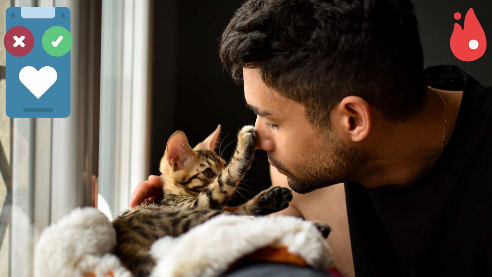 Sur les sites de rencontre, les hommes avec des chats en photo sont moins sollicités, selon cette étude