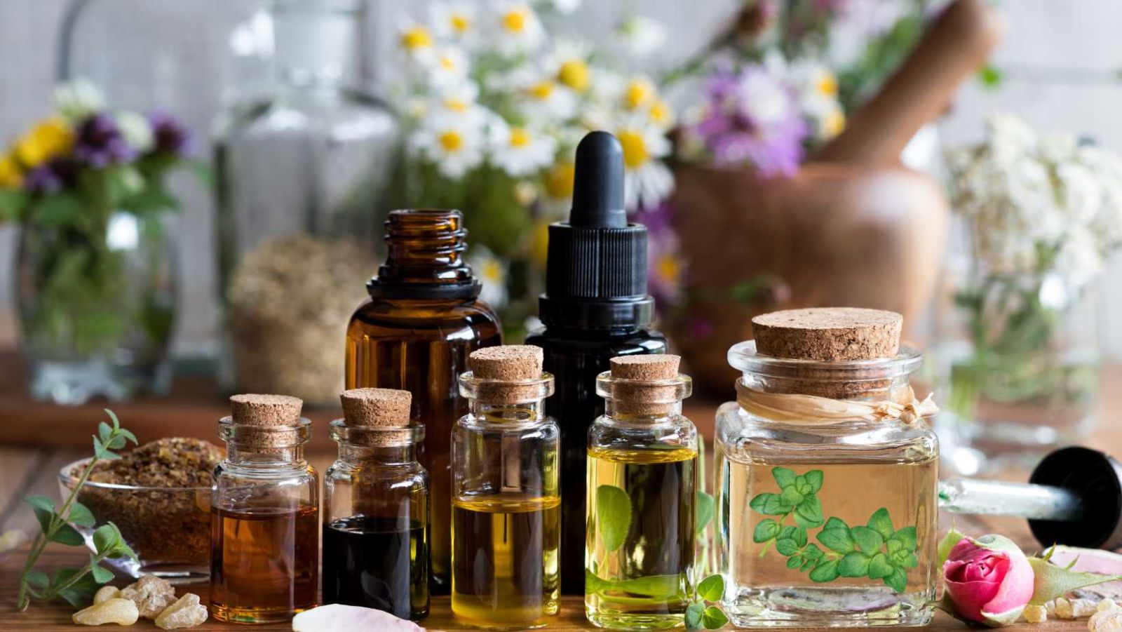 Antioxydant, anti-inflammatoire, anticancer : les pouvoirs cachés de l'huile essentielle d'origan