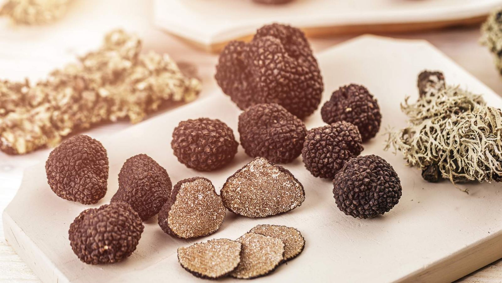 Cette région française est la première productrice de truffes en Europe
