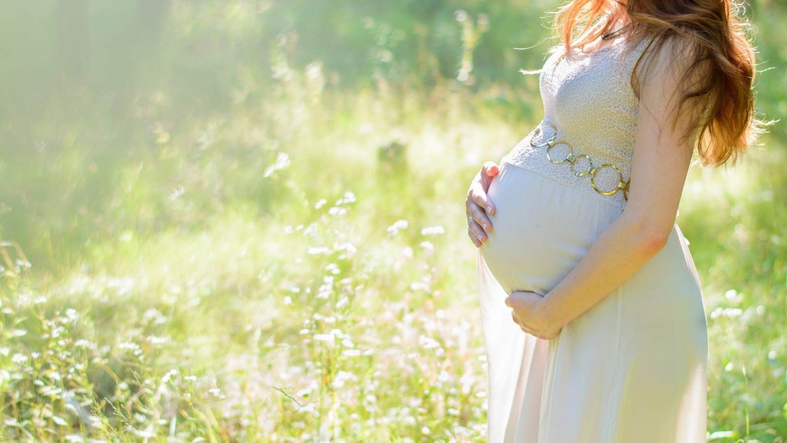Framboisier pour déclencher l'accouchement : une grossière erreur à éviter pendant la grossesse !