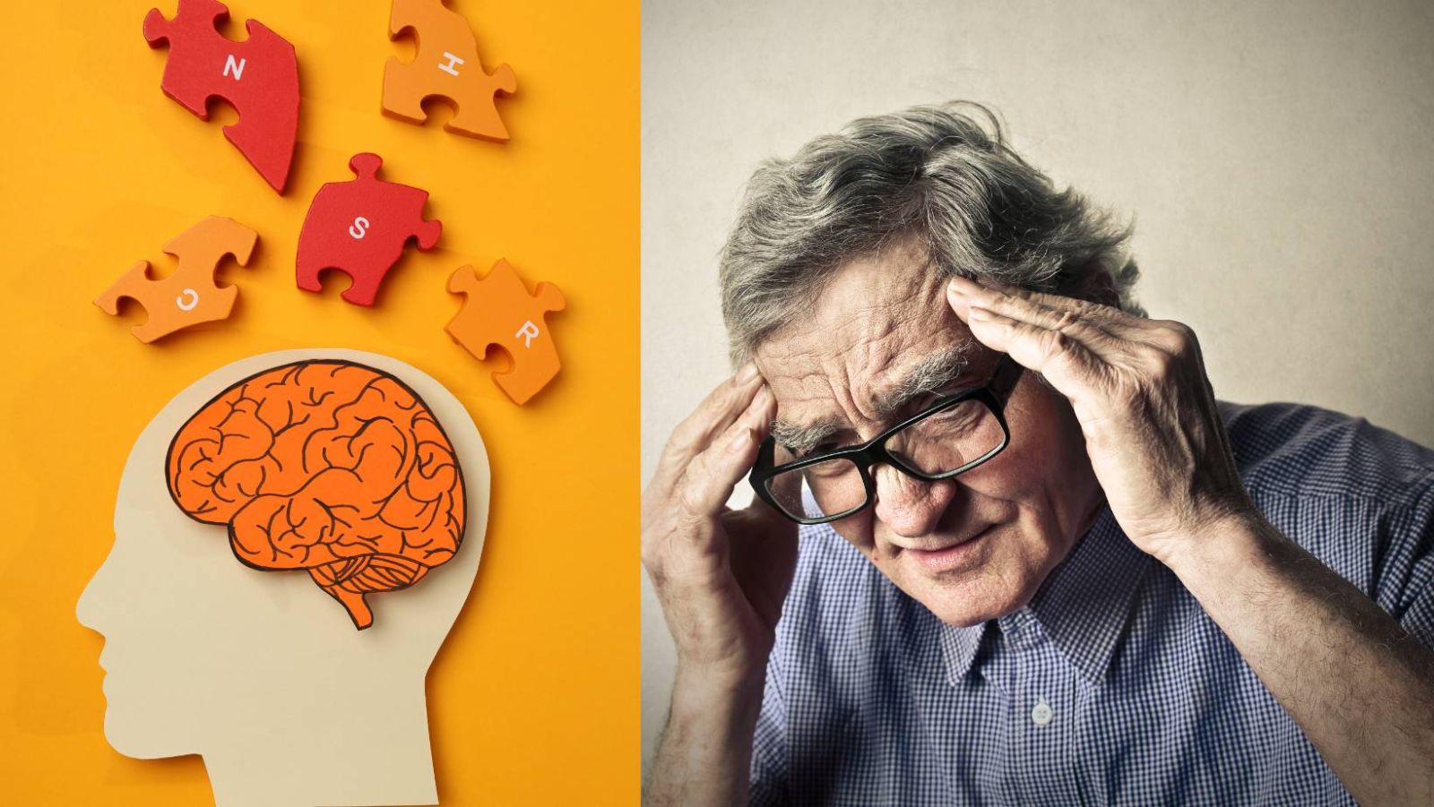 Alzheimer, perte de mémoire après 60 ans ? Ces 20 nutriments essentiels ...