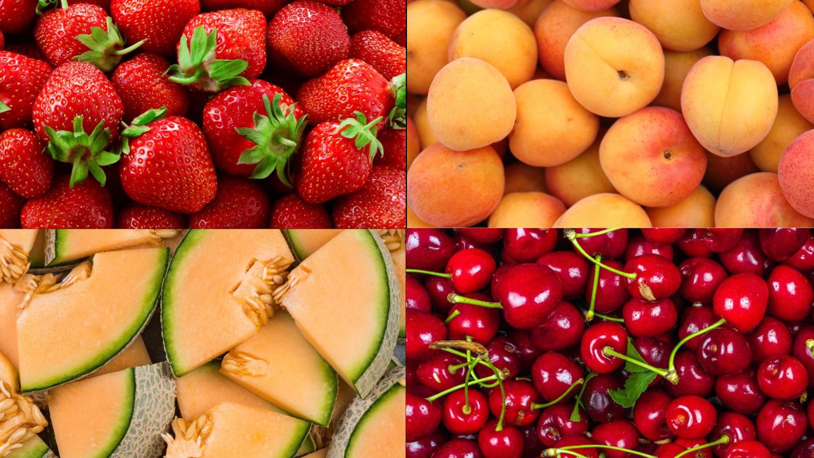 Quel est le fruit de saison le plus riche en antioxydants ?  (ce n'est pas celui que vous croyez !)