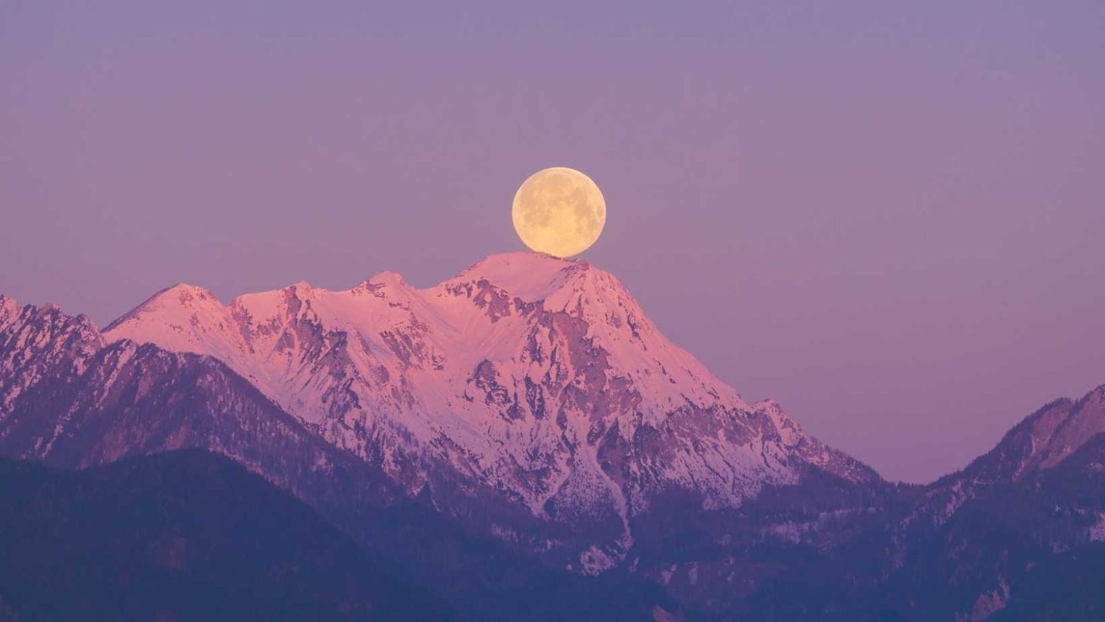 Pleine Lune Rose du 24 avril 2024 : une nuit magique sous le signe du renouveau