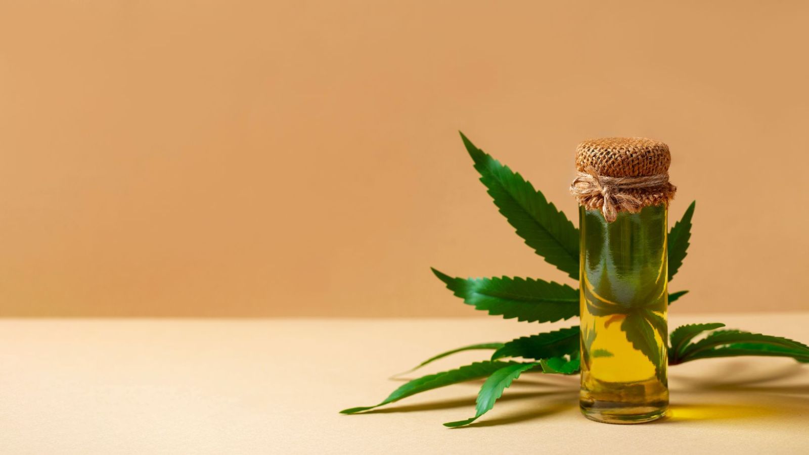 Top 10 des meilleurs sites pour acheter du CBD pas cher en ligne en 2026
